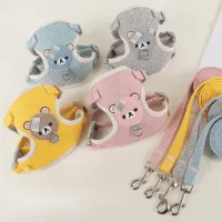 Kitten Harness with Leash