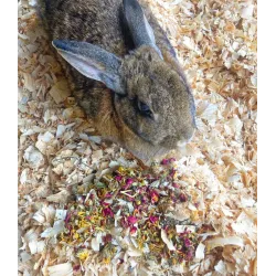 Botanical Bedding: Mix Of Pine Shavings & Herbs For Rabbits and Hamsters