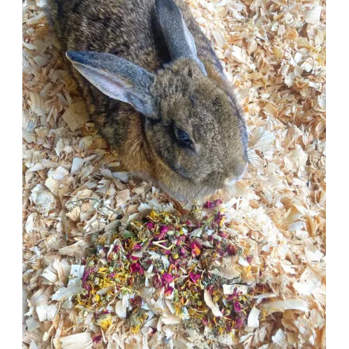 Botanical Bedding: Mix Of Pine Shavings & Herbs For Rabbits and Hamsters