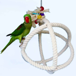 Rope Orbit Bird Perch