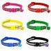 Cat Collar with Bell