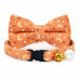 Bow Tie Collars for Cats