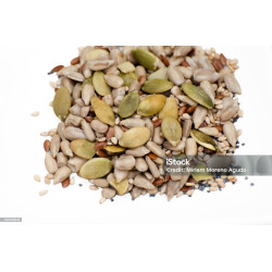 Tropical Seed And Nut Mix for Birds