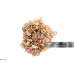 Tropical Seed And Nut Mix for Birds
