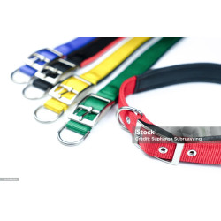 Basic Collar & Leash Set For Dogs