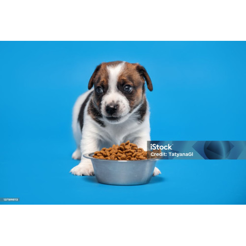 New Born Puppy Food