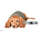 Classic Knit Dog Sweater