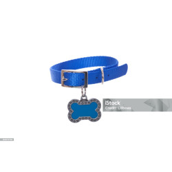Bone Collar & Basic Leash Set For Dogs