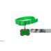 Bone Collar & Basic Leash Set For Dogs