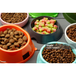 Natural Vegetarian Treats for Dogs