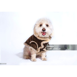 Quilted Dog Jacket