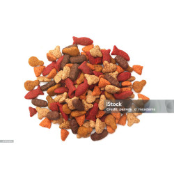 Fish Flavoured Kibble for Cats