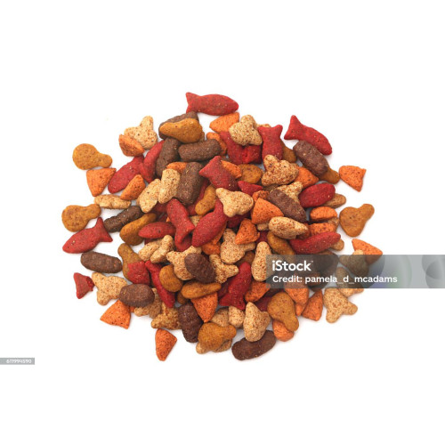 Fish Flavoured Kibble for Cats