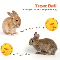 Treat Ball for Boredom Relief and Mental Stimulation