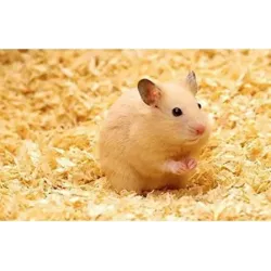 Herbal Bedding To Improve Hutch Hygiene